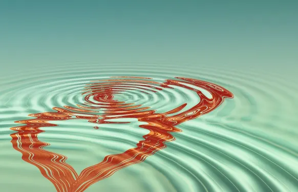 آرميد بيت كازينو الدعم